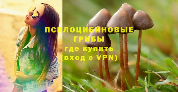 индика Осташков