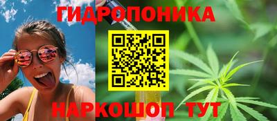 Альфа ПВП Шелехов