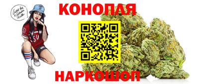 Альфа ПВП Шелехов