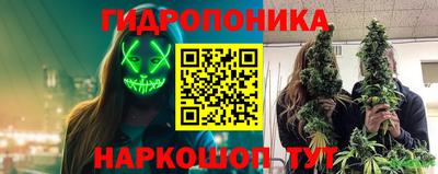 гидропоника Аша