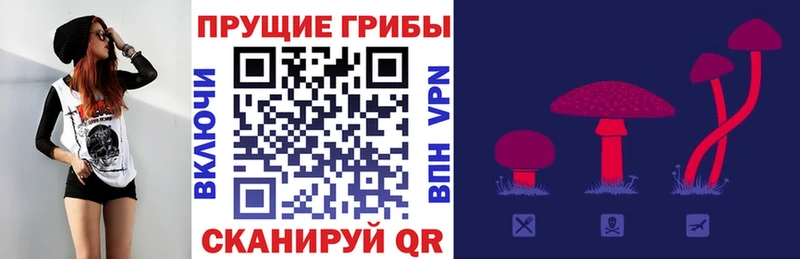 Псилоцибиновые грибы MAGIC MUSHROOMS  Темрюк 