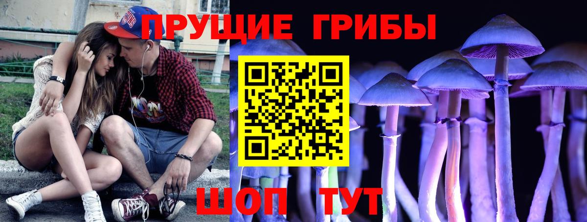 Галлюциногенные грибы Psilocybe Темрюк