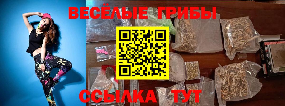 Темрюк  Галлюциногенные грибы Cubensis  Вход с VPN  Псилоцибиновые грибы Psilocybe 